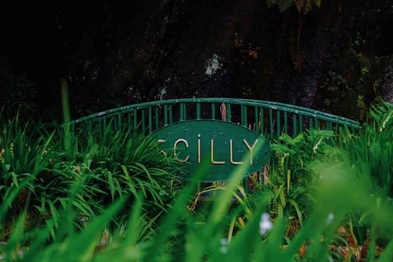 The Scilly Walk